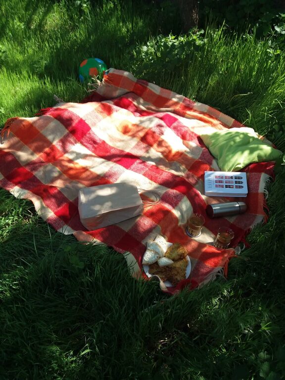 How to Plan a Simple Picnic at a Local Park